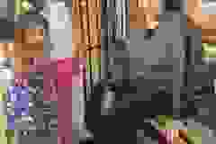 118700037_312874353380137_5645257910980922264_n