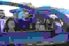 128763406_158046632685870_8537301804464429415_n