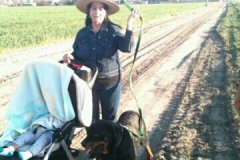 420645_374411762578452_2081608611_n