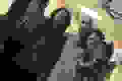 83943182_575895683141884_6061014297146818560_n