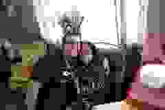 84166087_213943360006943_1547351677365911552_n