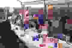 84575583_265783231075849_6835318062195933184_n