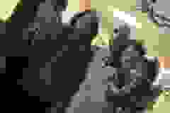 86701831_586457135324905_2869711179398250496_n