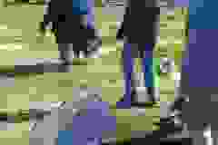 87331526_635009610626992_858832767293587456_n