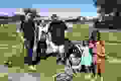 87359407_1306105919590946_6826008471473750016_n